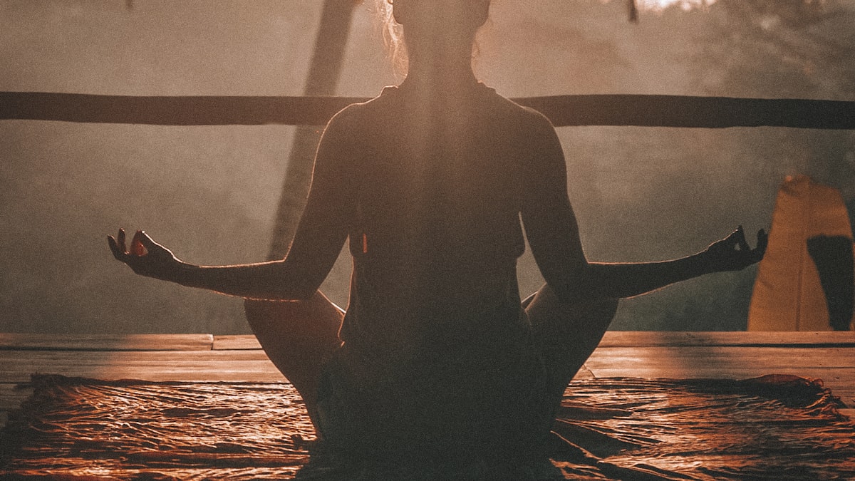 The 5 Core Habits Scientifically Proven to Extend Healthspan and Cellular Vitality